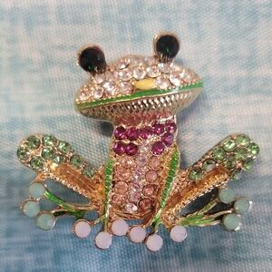Colorful Frog Brooch with Crystals